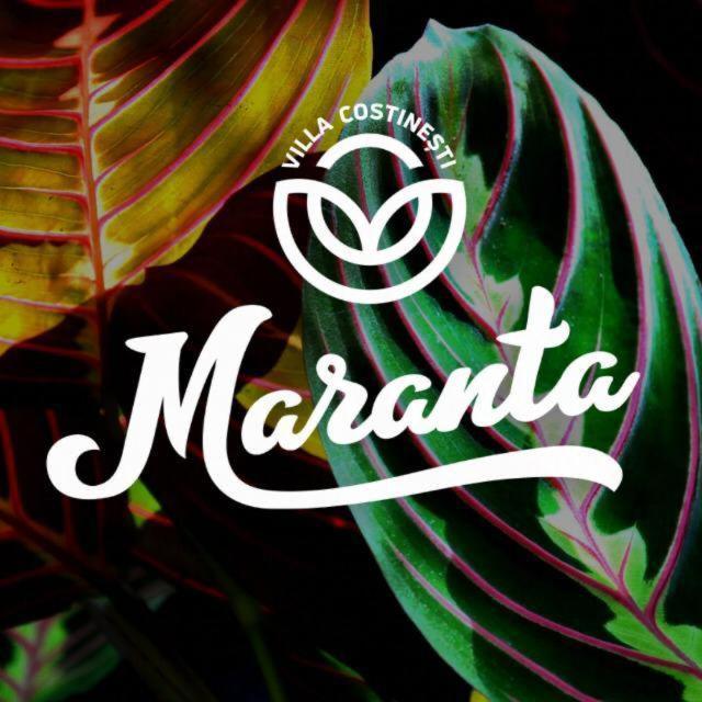 Casa Maranta Costinesti Exterior foto